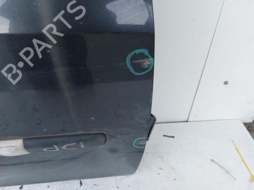 Right front door RENAULT CLIO III (BR0/1, CR0/1) 1.5 dCi (BR17, CR17) | BP17308280C3 