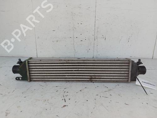 Used Intercooler OPEL COMBO Box Body/MPV (X12) 1.6 CDTI (B05) (105 hp) 19124741