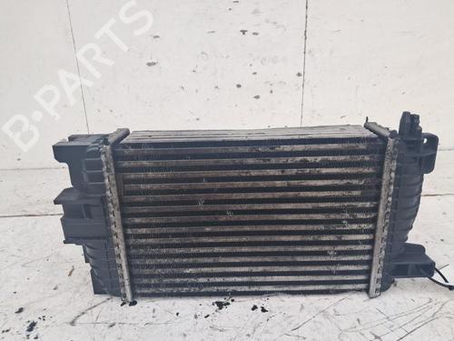 Intercooler OPEL MERIVA B MPV (S10) 1.7 CDTI (75) | BP33194057M30 - Image 4