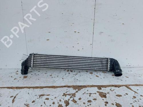 Used Intercooler RENAULT SCÉNIC III (JZ0/1_) 1.6 dCi (JZ00, JZ12) (130 hp) 29523059