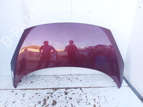 Used Hood RENAULT SCÉNIC III (JZ0/1_) 1.6 dCi (JZ00, JZ12) (130 hp) 29523052