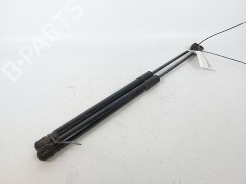 Used Tailgate lift support SKODA FABIA III (NJ3) 1.4 TDI (75 hp) 15162857