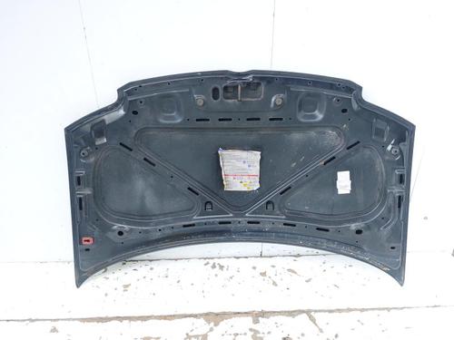 Hood FIAT PANDA (169_) 1.2 Natural Power (169.AXB1A) | BP29298643C1 