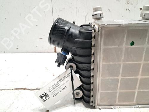 Intercooler JAGUAR E-PACE (X540) 2.0 D165 MHEV AWD | BP31011069M30