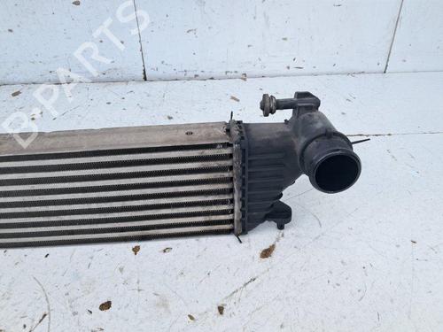 Intercooler FIAT 500L (351_, 352_) 1.3 D Multijet (199LXY1A, 199LXY11) | BP33616420M30 - Image 2