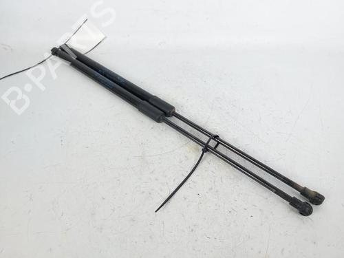 Tailgate lift support RENAULT MEGANE IV Grandtour (K9A/M/N_) 1.5 Blue dCi 115 (K9A6) | BP21011460C138 