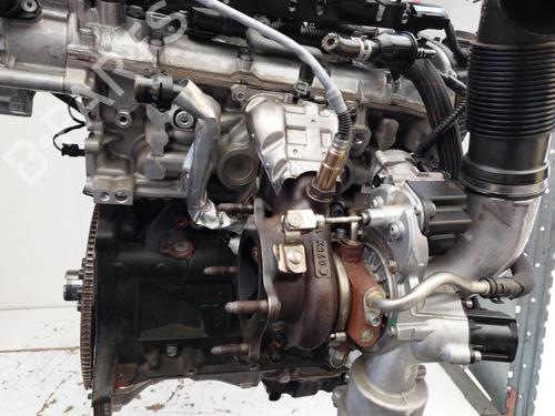 Engine AUDI A5 (F53, F5P) 2.0 TDI | BP23880688M1 