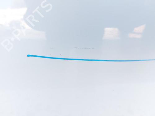 Right rear door MINI MINI COUNTRYMAN (R60) Cooper D ALL4 | BP29584231C5 
