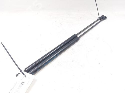 Used Tailgate lift support FIAT PANDA (169_) 1.3 D Multijet (169AXG1A, 169AXD1A) (75 hp) 27995885