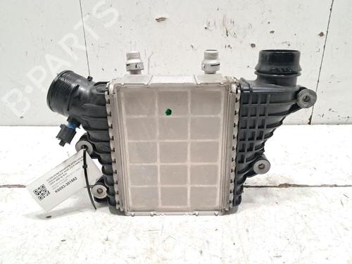 Intercooler JAGUAR E-PACE (X540) 2.0 D165 MHEV AWD | BP31011069M30