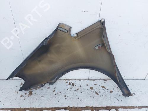 Right front fenders LANCIA MUSA (350_) 1.3 D Multijet (350.AXG11, 350.AXG1A) | BP29746389C42 