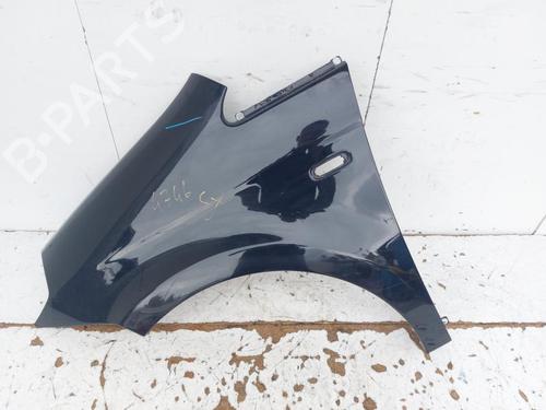 Used Left front fenders LANCIA MUSA (350_) 1.3 D Multijet (350.AXG11, 350.AXG1A) (90 hp) 29350124