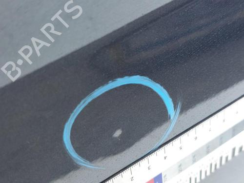 Left front door FORD FIESTA VI (CB1, CCN) 1.4 TDCi | BP31082237C2