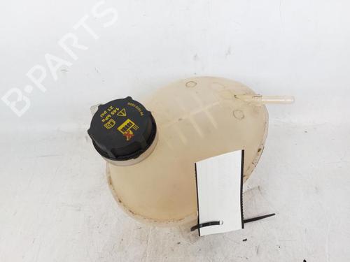 Expansion tank FORD FIESTA VII (HJ, HF) 1.5 TDCi | BP18089503C120 
