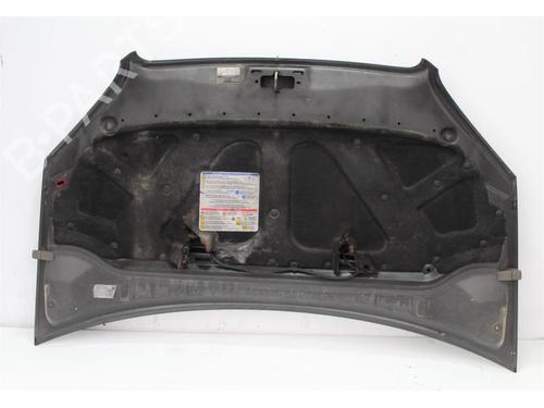 Hood FIAT DOBLO Box Body/MPV (223_) 1.3 JTD 16V Multijet | BP15147691C1 
