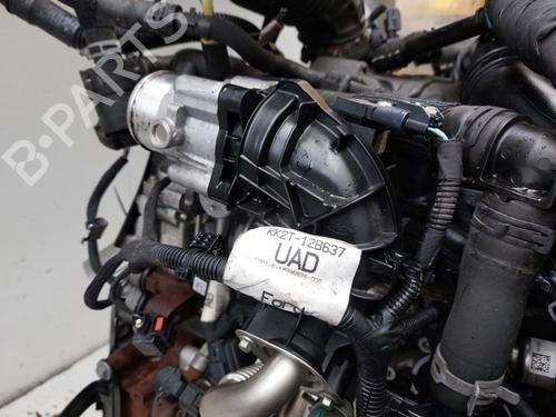 Engine FORD TRANSIT V363 Van (FCD, FDD) 2.0 EcoBlue | BP35775563M1 - Image 6