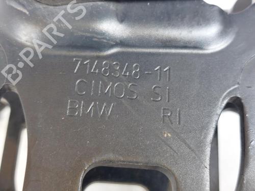 Hinge/Door check strap BMW X5 (E70) xDrive 30 d | BP15173771C146 