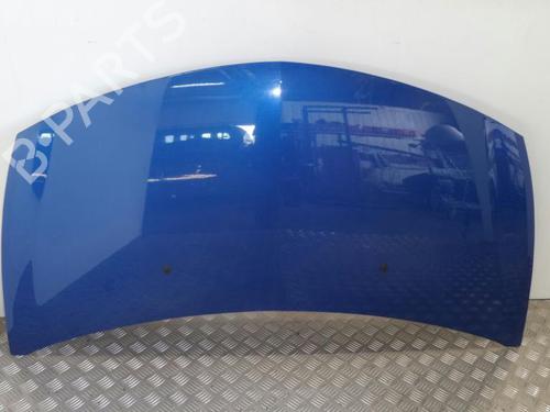 Used Hood RENAULT CLIO III (BR0/1, CR0/1) 1.5 dCi (BR17, CR17) (86 hp) 16176299