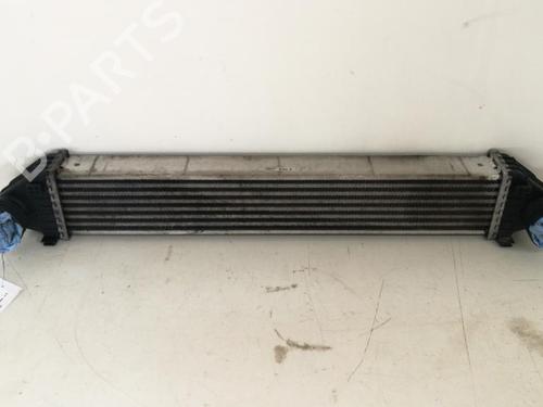 Intercooler MERCEDES-BENZ A-CLASS (W169) A 200 CDI (169.008, 169.308) | BP15365096M30 