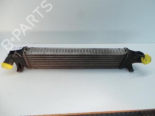 Intercooler FORD FOCUS II Turnier (DA_, FFS, DS) 1.6 TDCi (109 hp) 15363336