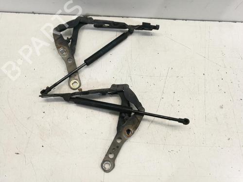 Hinge/Door check strap BMW 3 Coupe (E46) 330 Ci | BP18462296C146 