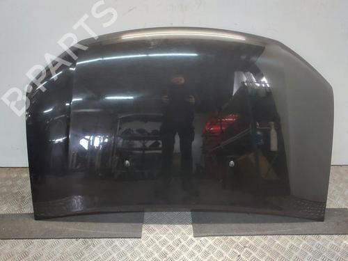 Used Hood DACIA SANDERO II TCe 90 (B8M1, B8MA, B8AC) (90 hp) 24420463