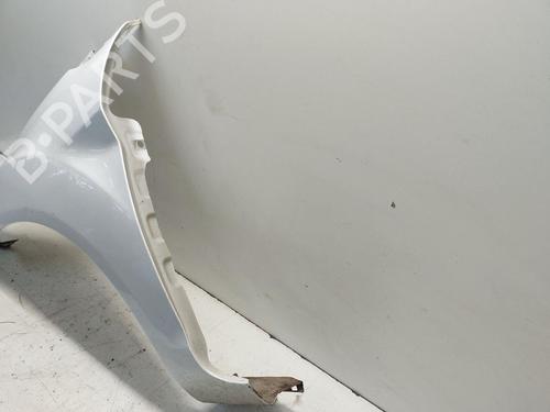 Left front fenders FORD FIESTA VI (CB1, CCN) 1.0 | BP29494955C41 