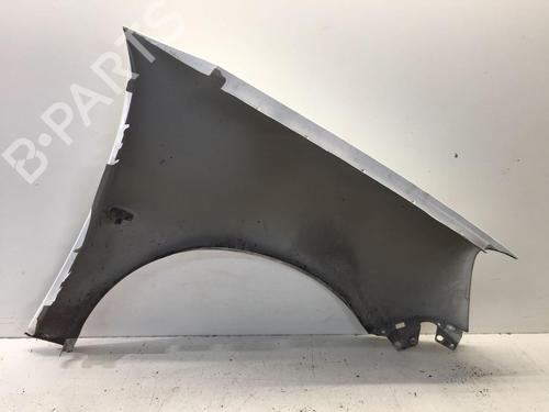 Left front fenders CITROËN BERLINGO / BERLINGO FIRST Box Body/MPV (M_) 1.4 i (MBKFX, MBKFW) | BP20301622C41 
