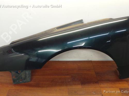 Left front fenders RENAULT LAGUNA I (B56_, 556_) 1.9 dCi (B56W) (107 hp) 16175330