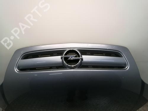 Hood OPEL SIGNUM Hatchback (Z03) 1.9 CDTI (F48) | BP15365949C1 
