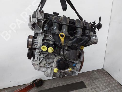 Motor FORD FIESTA VI (CB1, CCN) 1.4 | BP29443041M1 