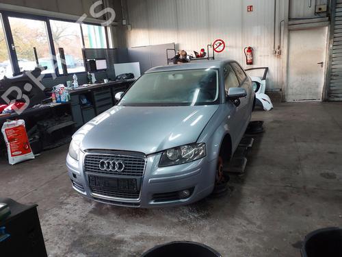 Tailgate AUDI A3 (8P1) 1.6 | BP30311890C6 