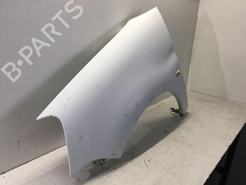 Left front fenders CITROËN BERLINGO / BERLINGO FIRST Box Body/MPV (M_) 1.4 i (MBKFX, MBKFW) | BP20301622C41 