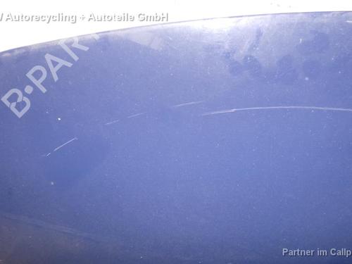Used Hood RENAULT CLIO III (BR0/1, CR0/1) 1.2 16V (BR0R, BR1D, BR1L, CR0R) (65 hp) 16175973