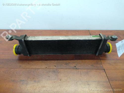 Used Intercooler MERCEDES-BENZ VANEO (414) 1.7 CDI (414.700) (91 hp) 15849049