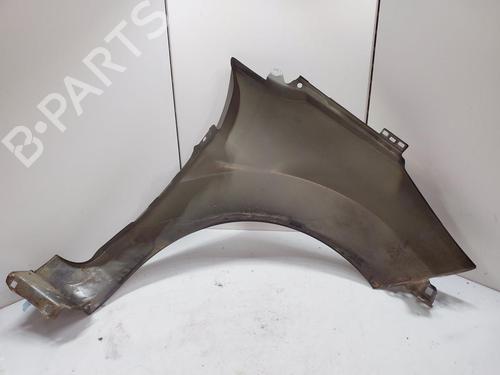 Left front fenders FORD FIESTA VI (CB1, CCN) 1.25 | BP29930220C41
