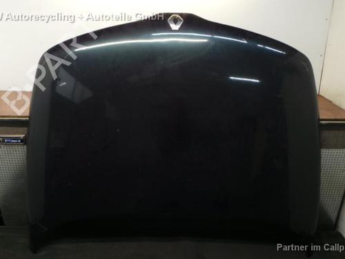 Hood RENAULT LAGUNA I (B56_, 556_) 1.9 dCi (B56W) | BP16175328C1