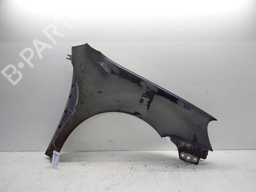 Left front fenders VW GOLF V (1K1) 1.4 16V | BP29880011C41