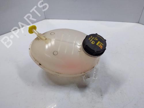Used Expansion tank FORD KA+ III (UK, FK) 1.2 (85 hp) 21830152