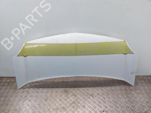 Hood RENAULT KANGOO Express (FW0/1_) Z.E. (FW0Z, FW1Z) (60 hp) 17735735