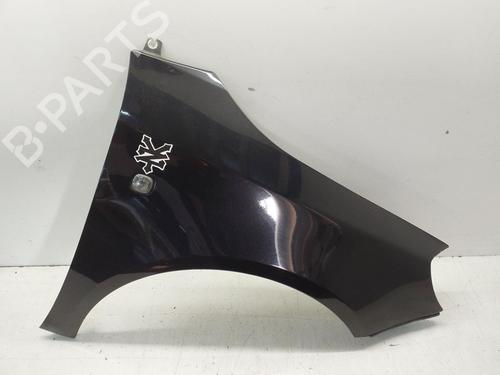 Right front fenders SKODA FABIA II (542) 1.2 | BP23412521C42 