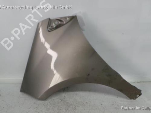 Used Left front fenders MERCEDES-BENZ A-CLASS (W169) A 180 CDI (169.007, 169.307) (109 hp) 15362605