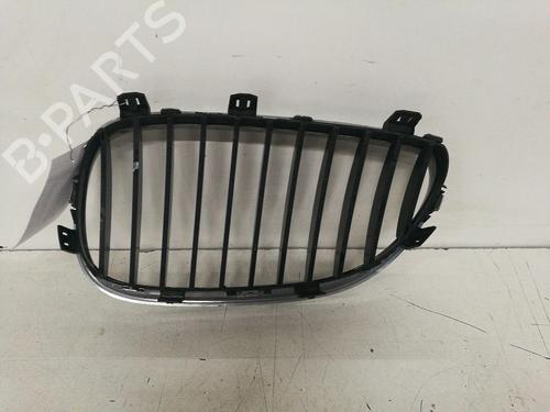 BP16067654C40 | Front grille BMW 5 Touring (E61) 535 d BP16067654C40