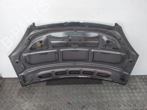 Hood MERCEDES-BENZ A-CLASS (W169) A 160 (169.031, 169.331) | BP29017979C1 