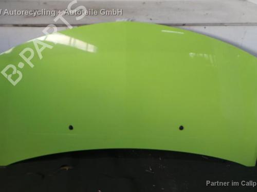 Used Hood RENAULT CLIO III (BR0/1, CR0/1) 1.5 dCi (BR17, CR17) (86 hp) 16175683