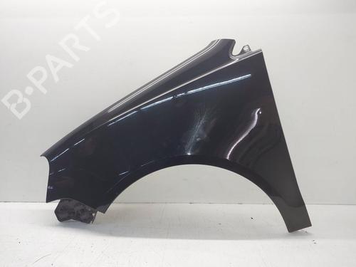 Left front fenders VW POLO IV (9N_, 9A_) 1.2 | BP29578489C41 