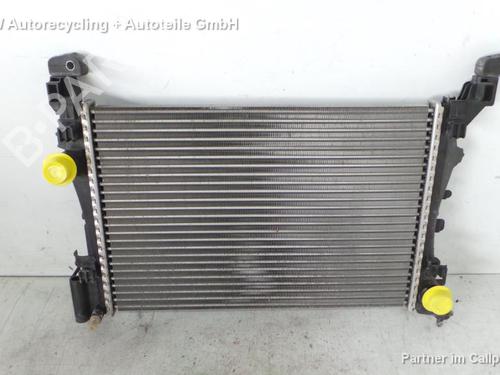 Køler FIAT PUNTO EVO (199_) 1.2 (69 hp) 16100631