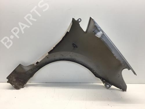 Left front fenders CITROËN C3 Pluriel (HB_) 1.4 | BP16176672C41 