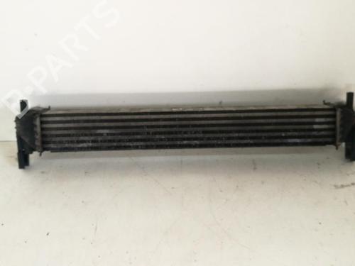 Used Intercooler VW POLO V (6R1, 6C1) 1.6 TDI (90 hp) 16101265