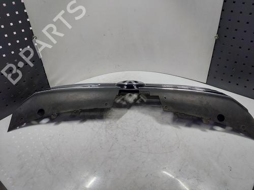 Grille VW PASSAT B7 Variant (365) 2.0 TDI | BP32377795C40